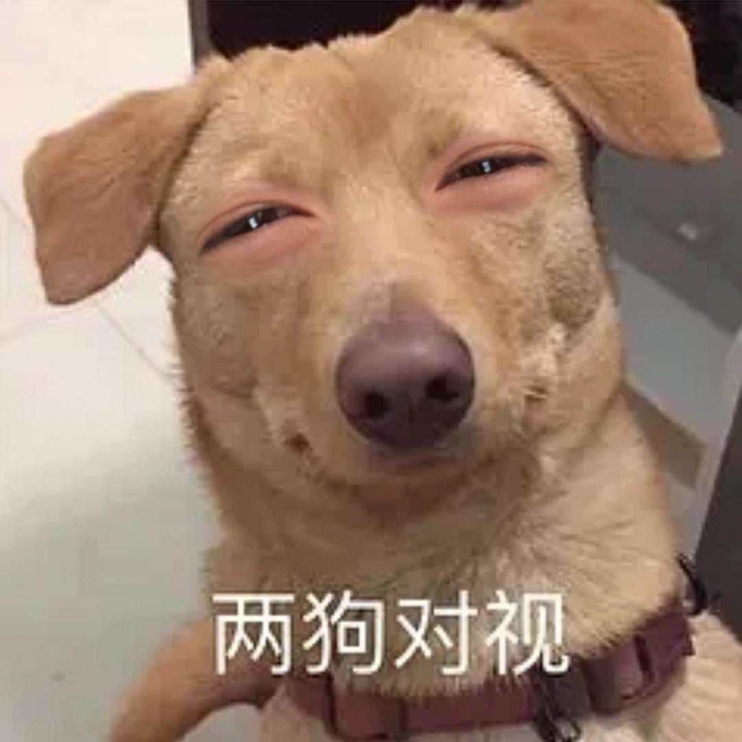 小周是老大