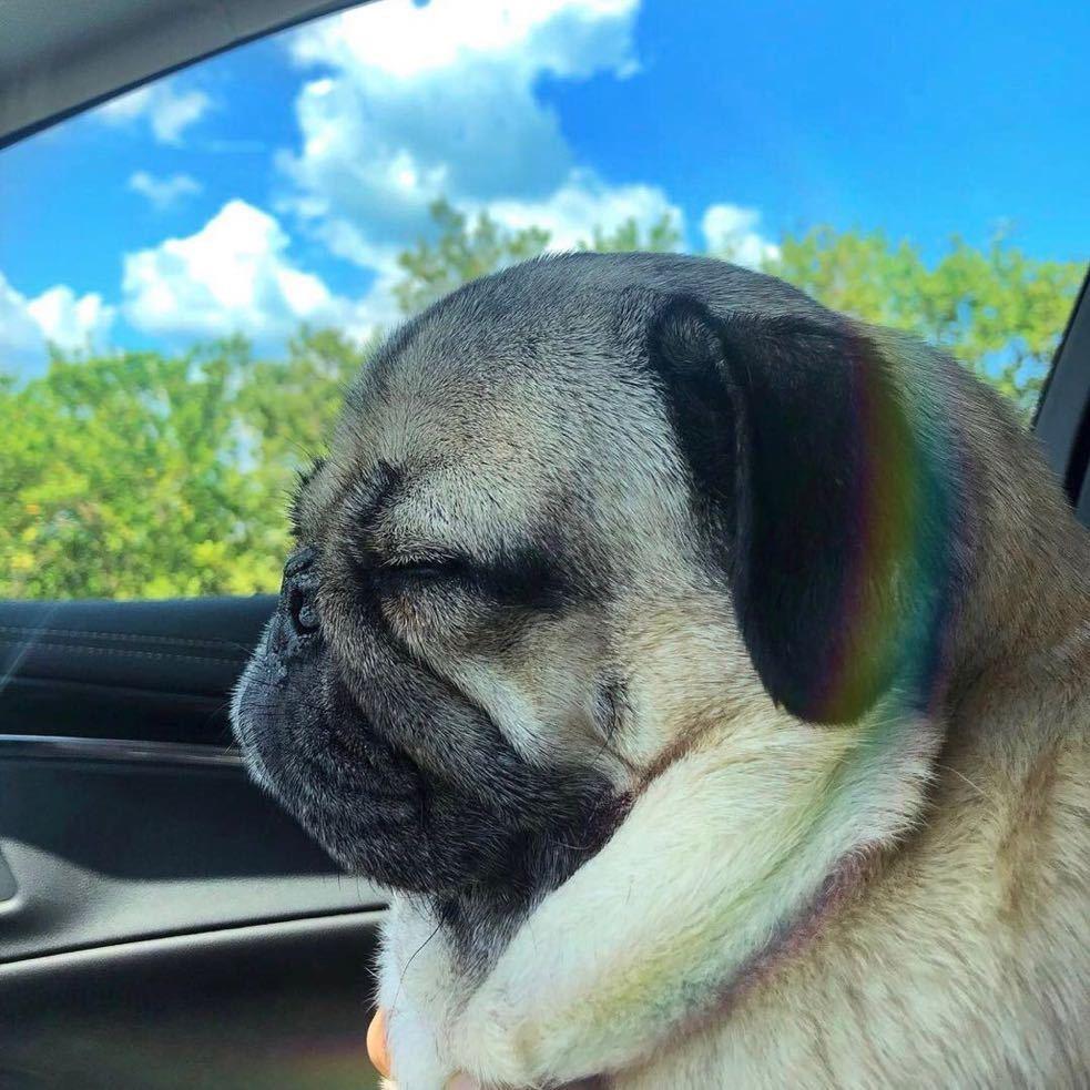 🎄➕🤷‍♀️