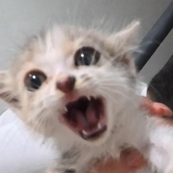 陈婷婷的成长日记📝