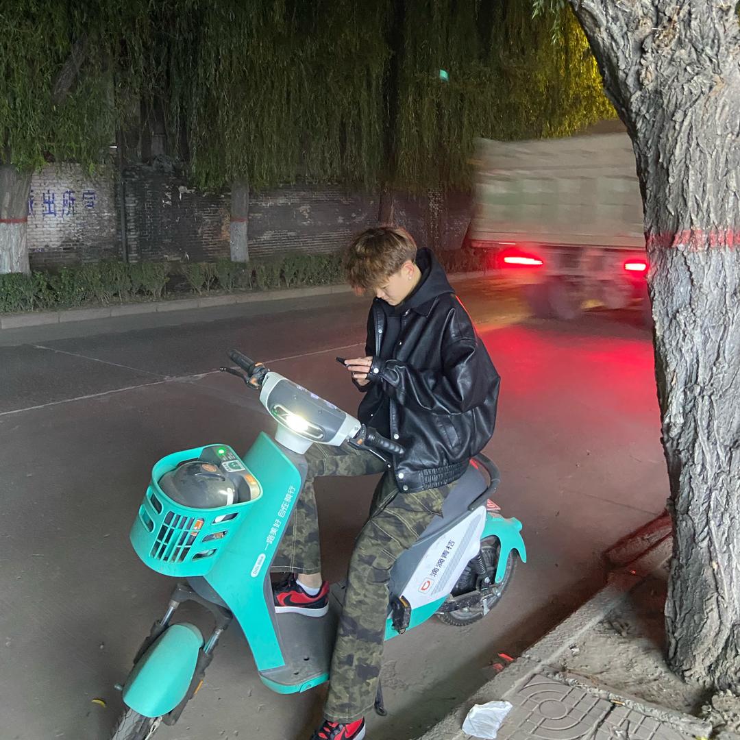 不动情/