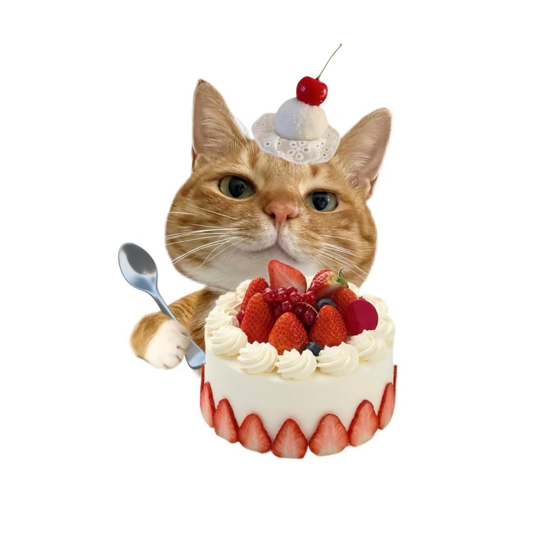 你是不是油猫饼