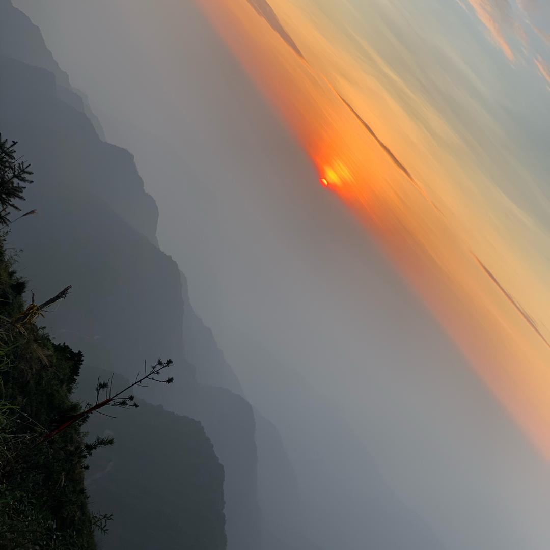 宠粉号