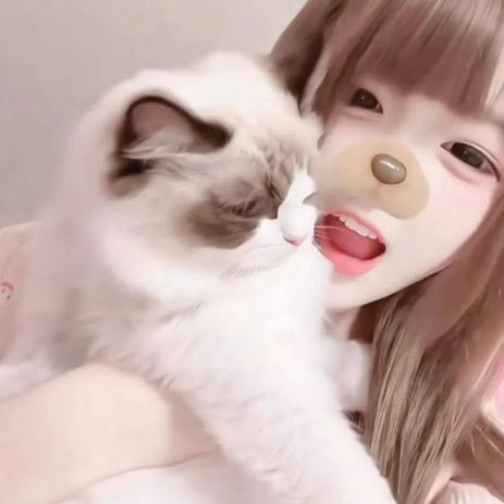 纯情小蟑螂