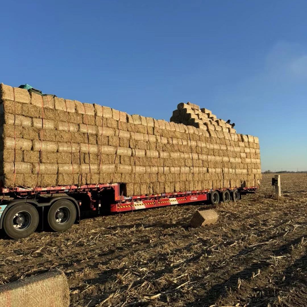 德鑫草业常年出售牛羊草料