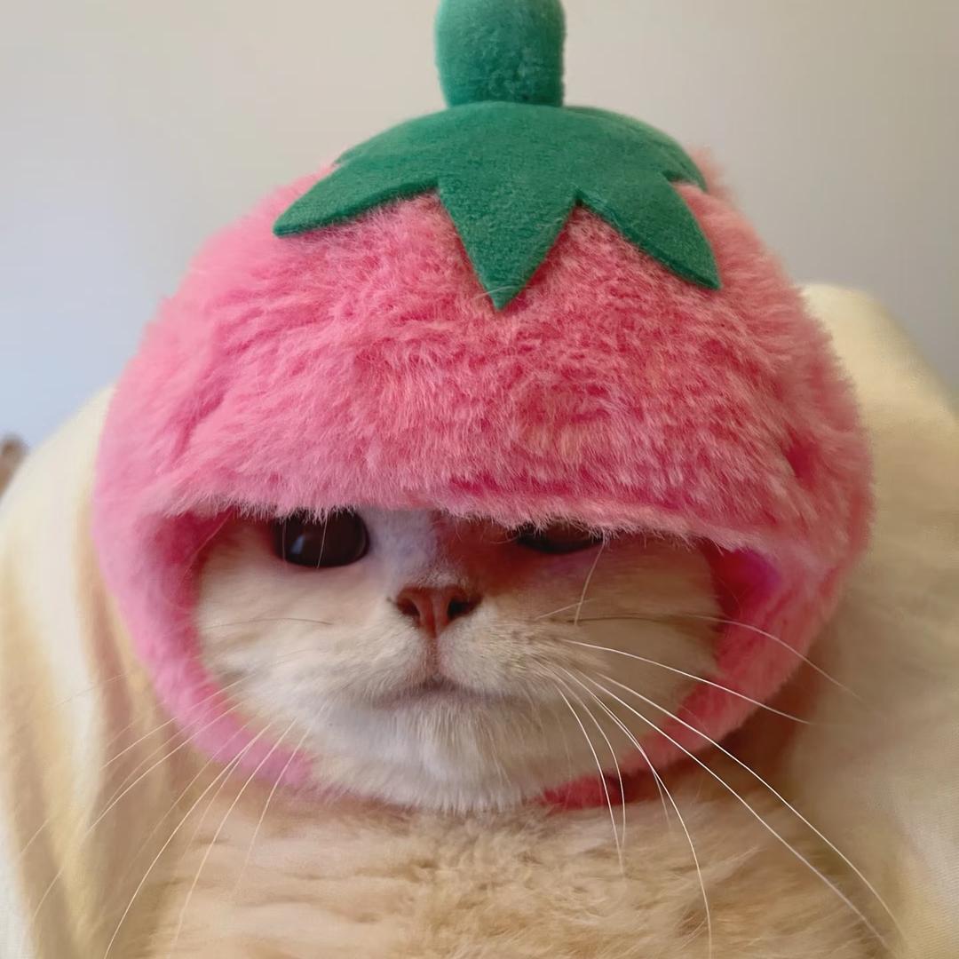 疯狂草莓屁
