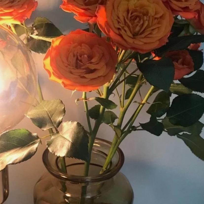 随遇而安🌹