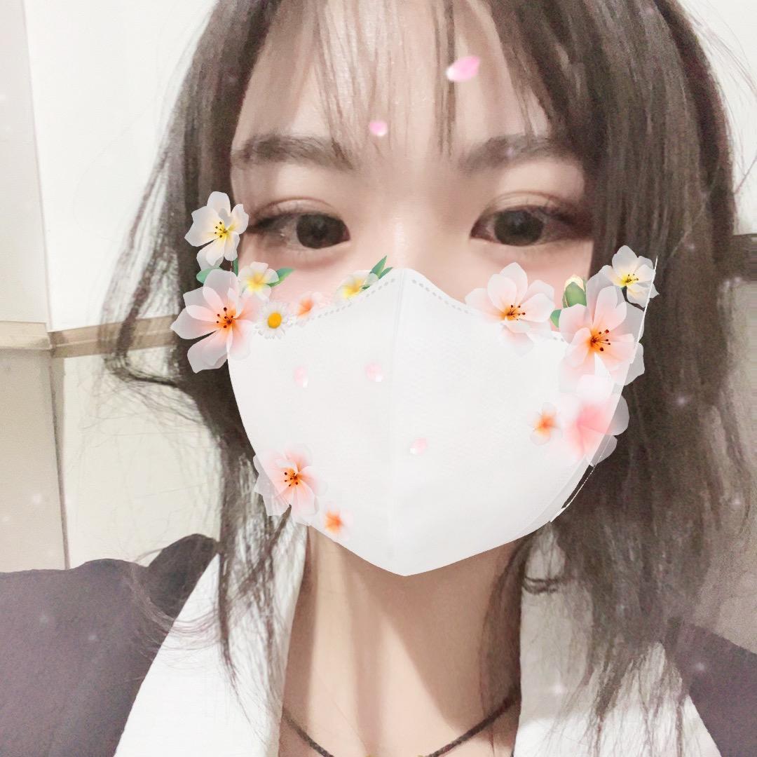 崽崽工作室