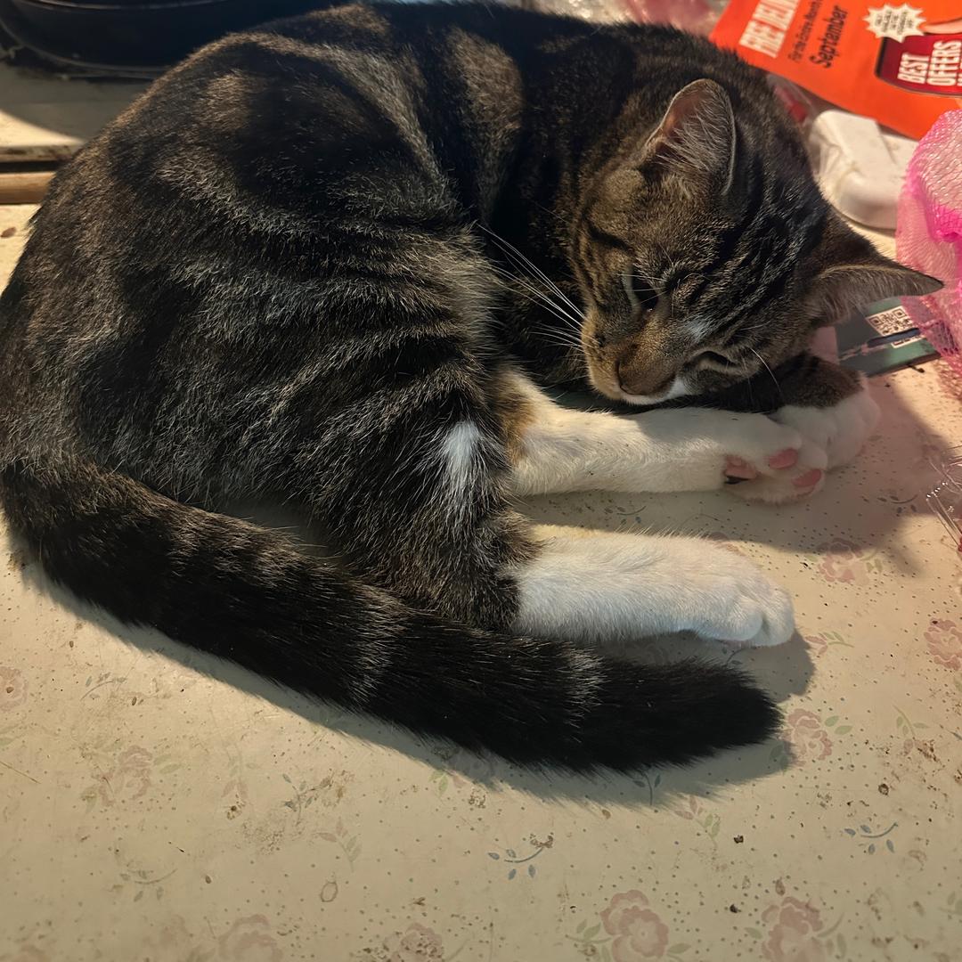 你真的走进我的世界吗