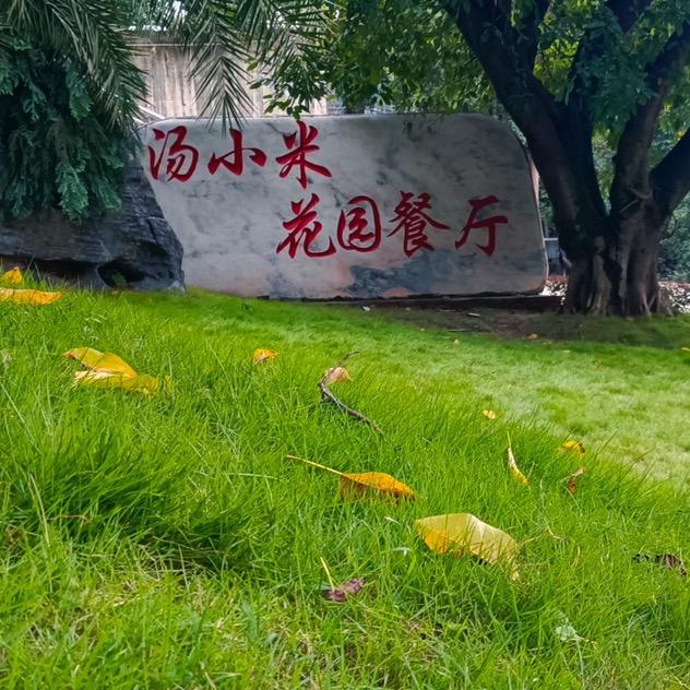 汤小米花园餐厅专用号