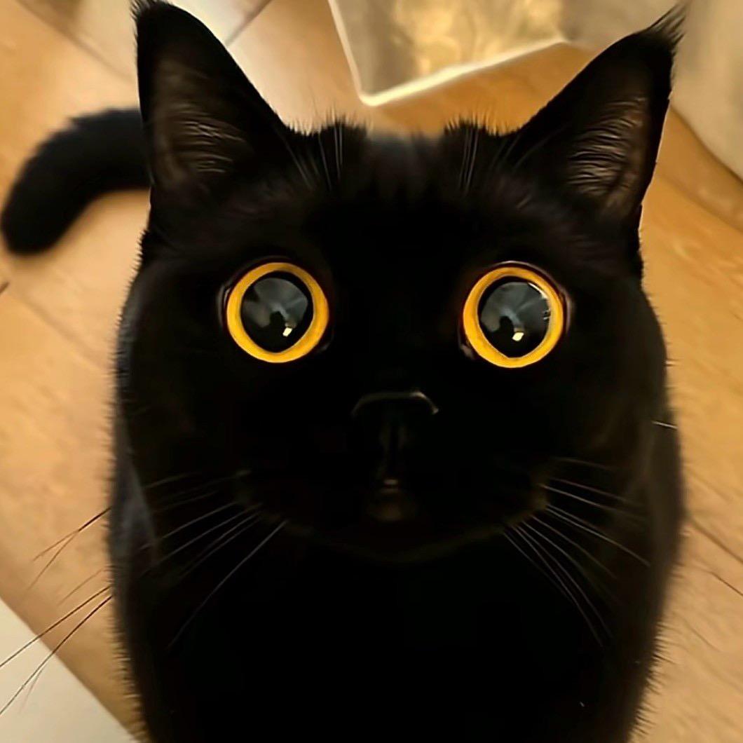 自爱
