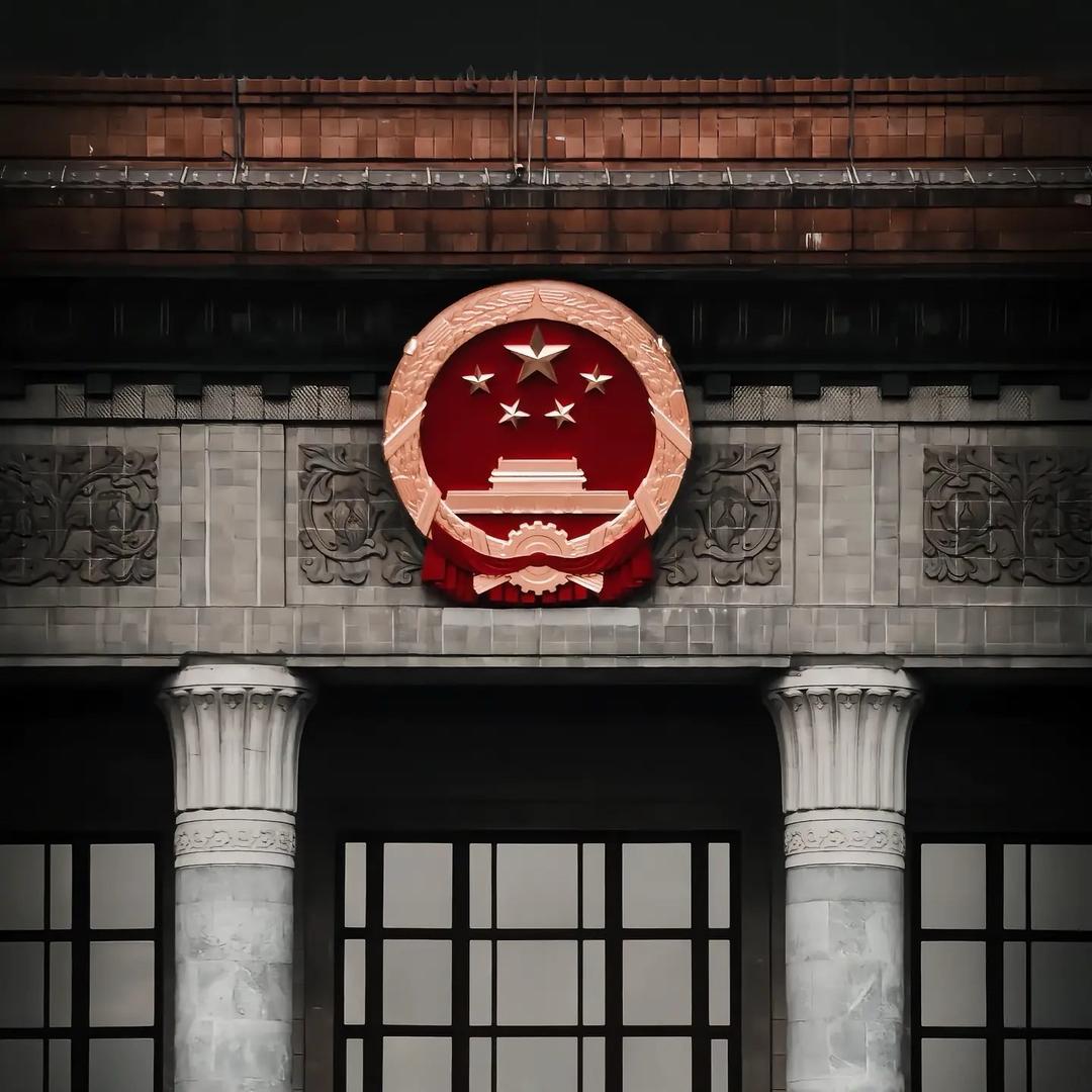 猫头鹰🦉