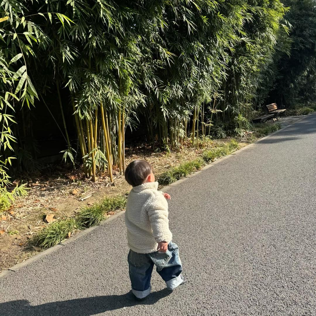 好多鱼鱼鱼鱼鱼