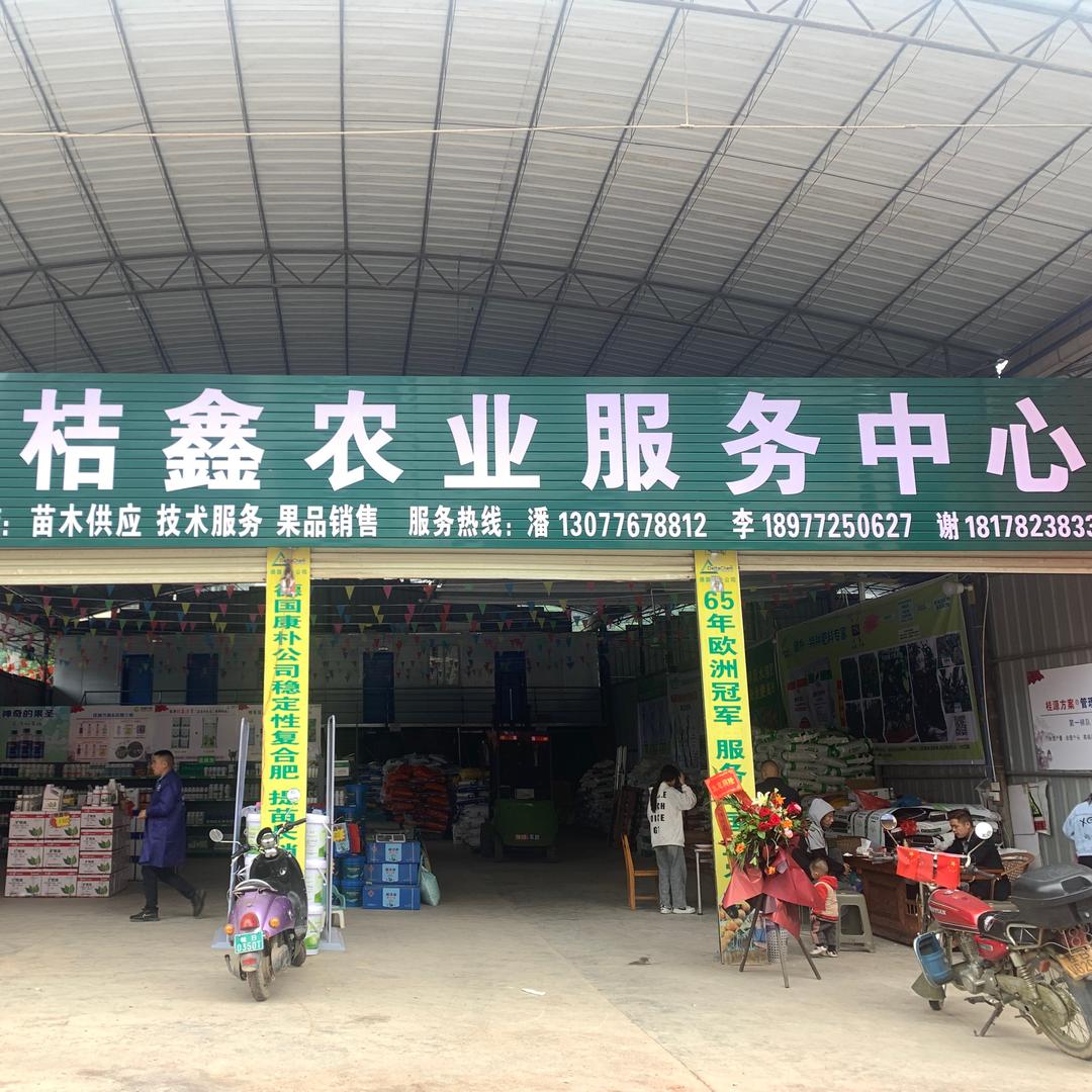 鲜桔果业
