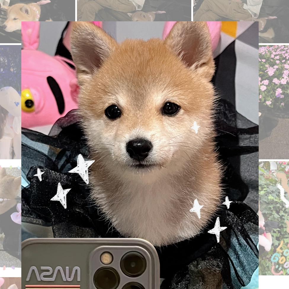艾乐是个小公主