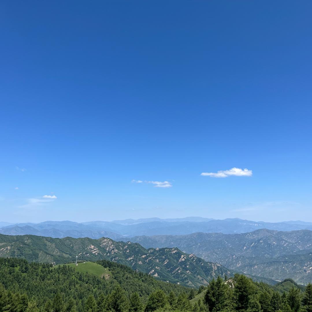管理