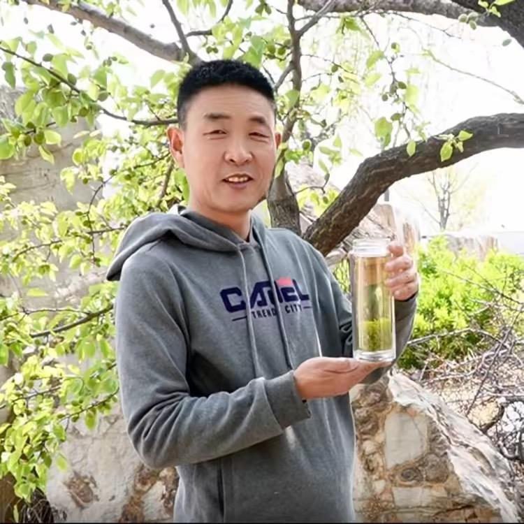 沃犁诗