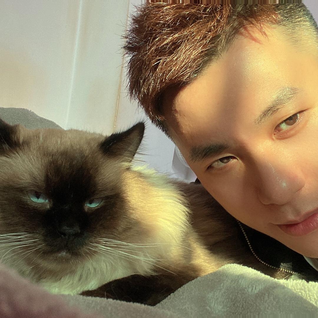 ོꦿ小丑是只🐈‍⬛