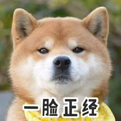 不以物喜