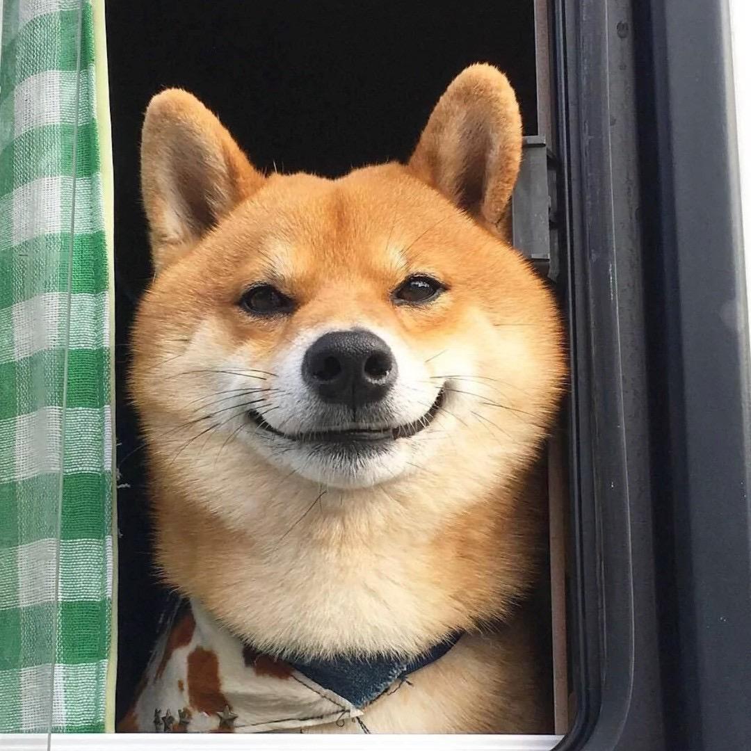 忘了你忘了我