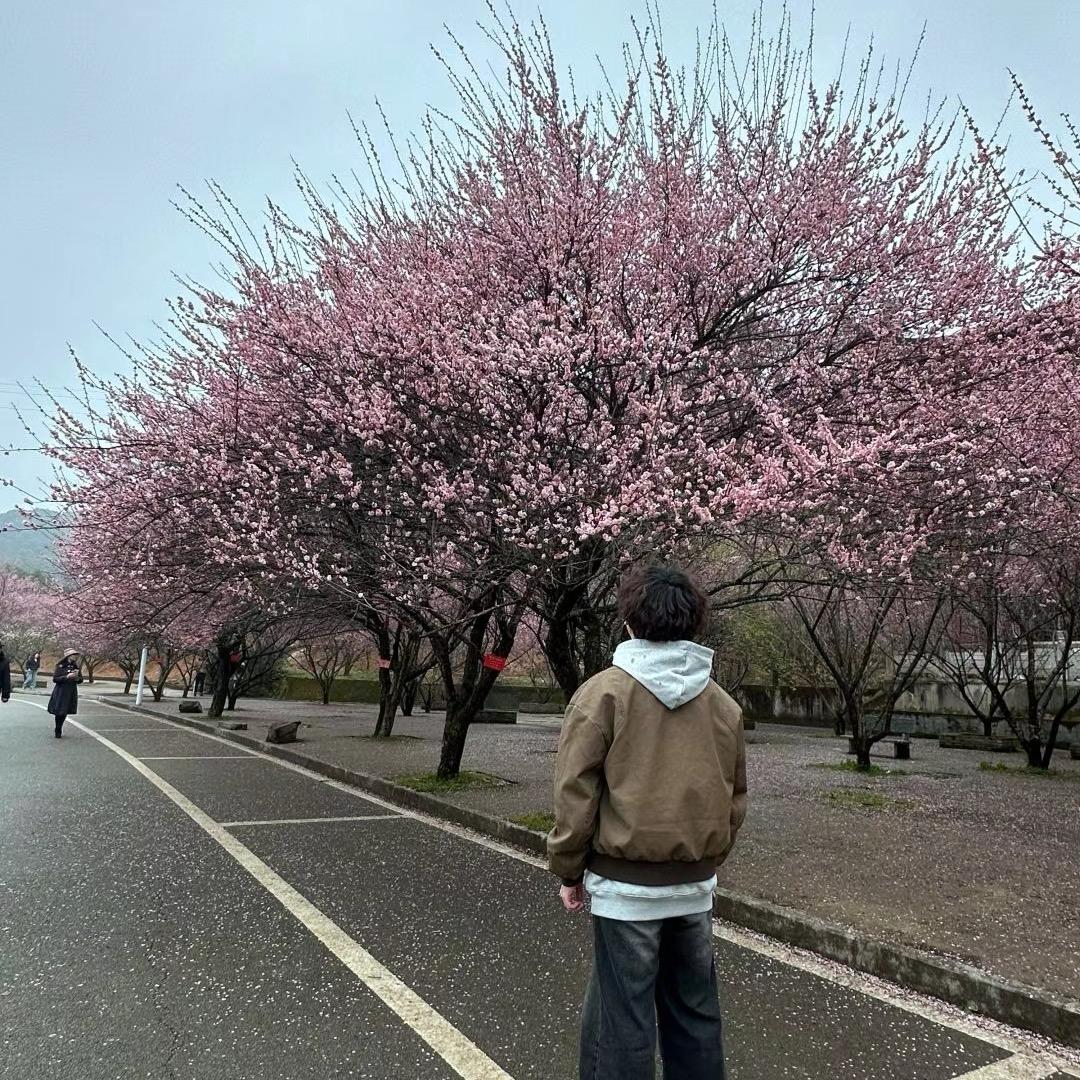 Flipped 阿吧阿吧