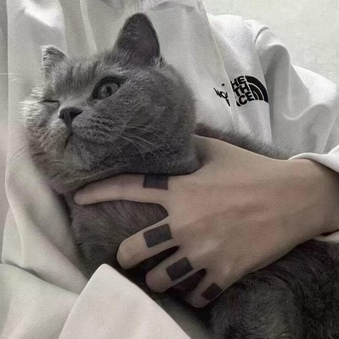 走丢的凯