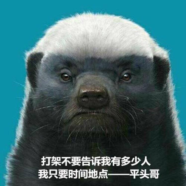 言笑晏晏午辞空灵岑