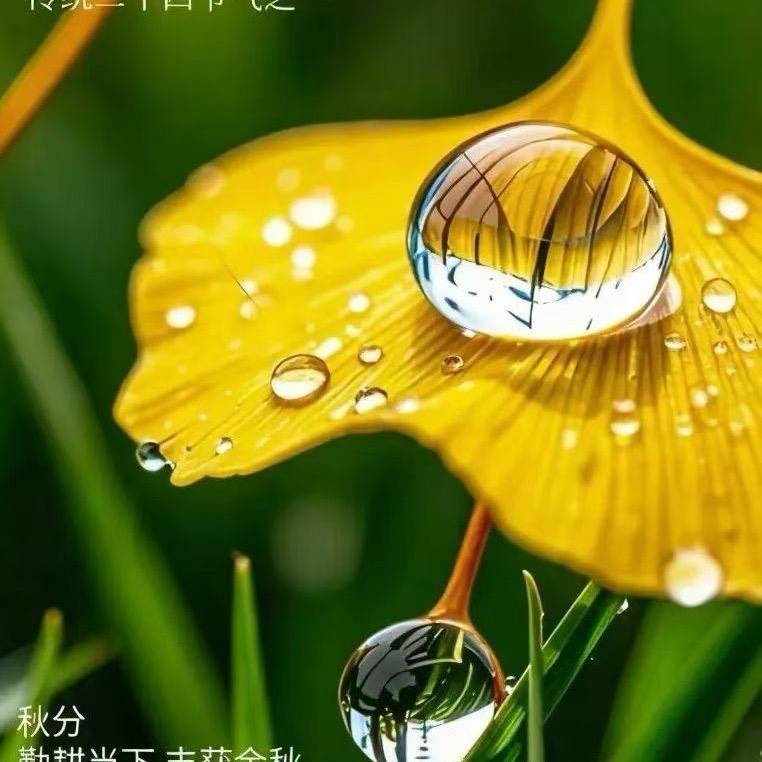 龙霸天