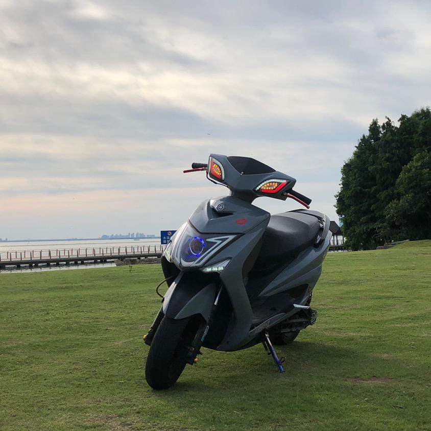 不吃鸡鸭鹅马羊