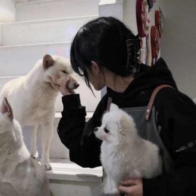 、P