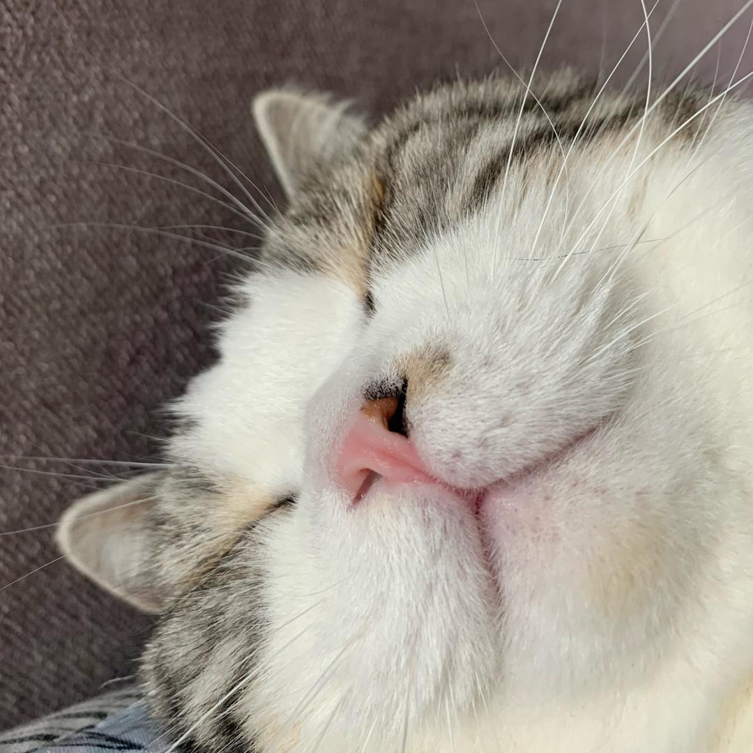 白白.