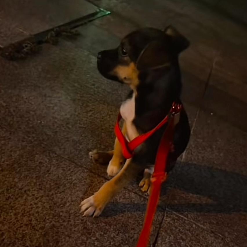 你大爷还是你大爷