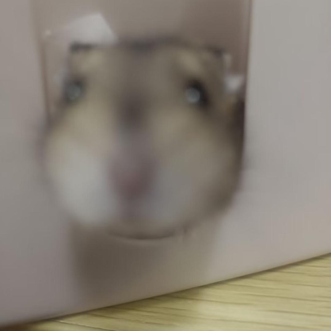aaaaaaaq