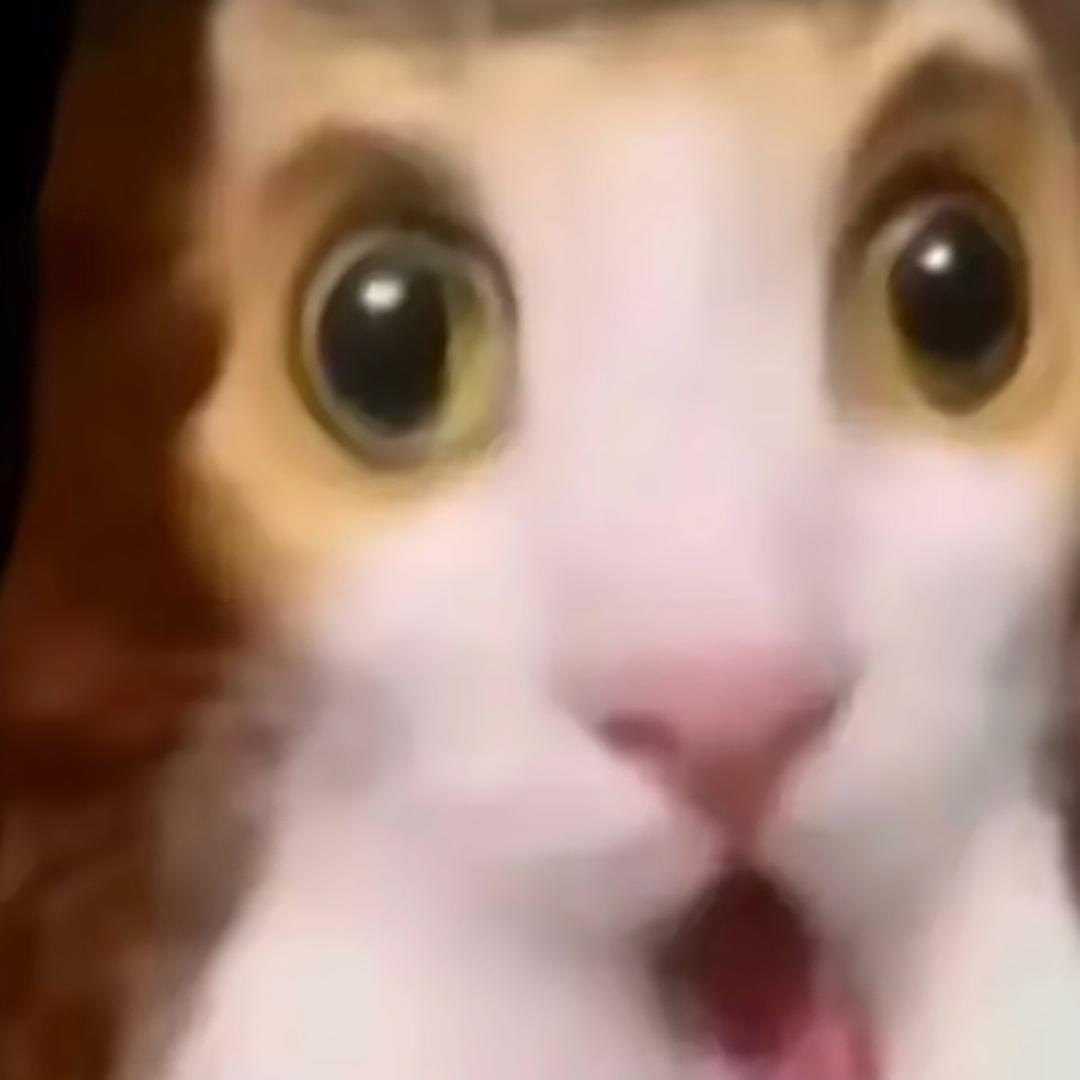 Suflet