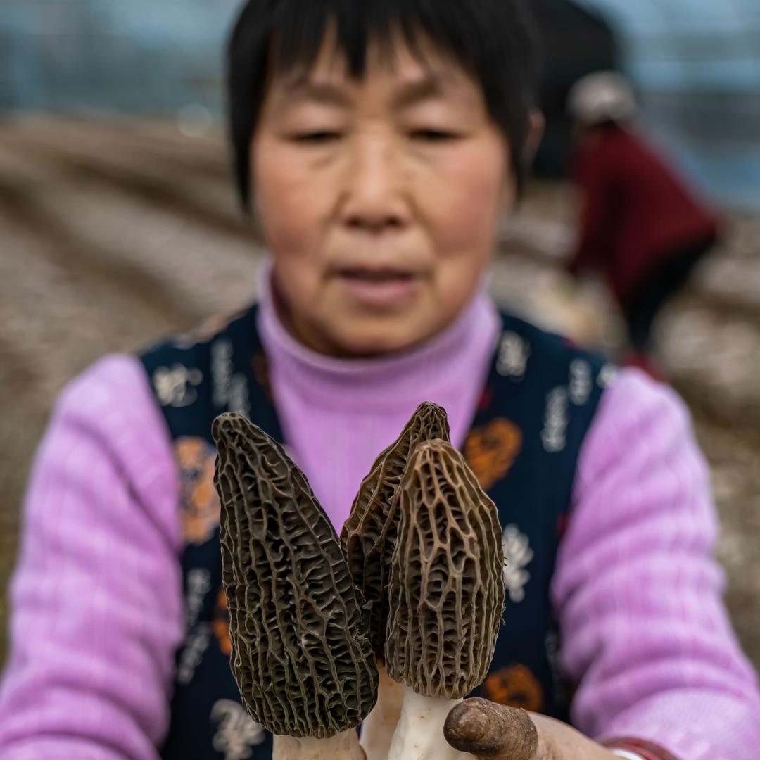 廖缪村田家山货坊