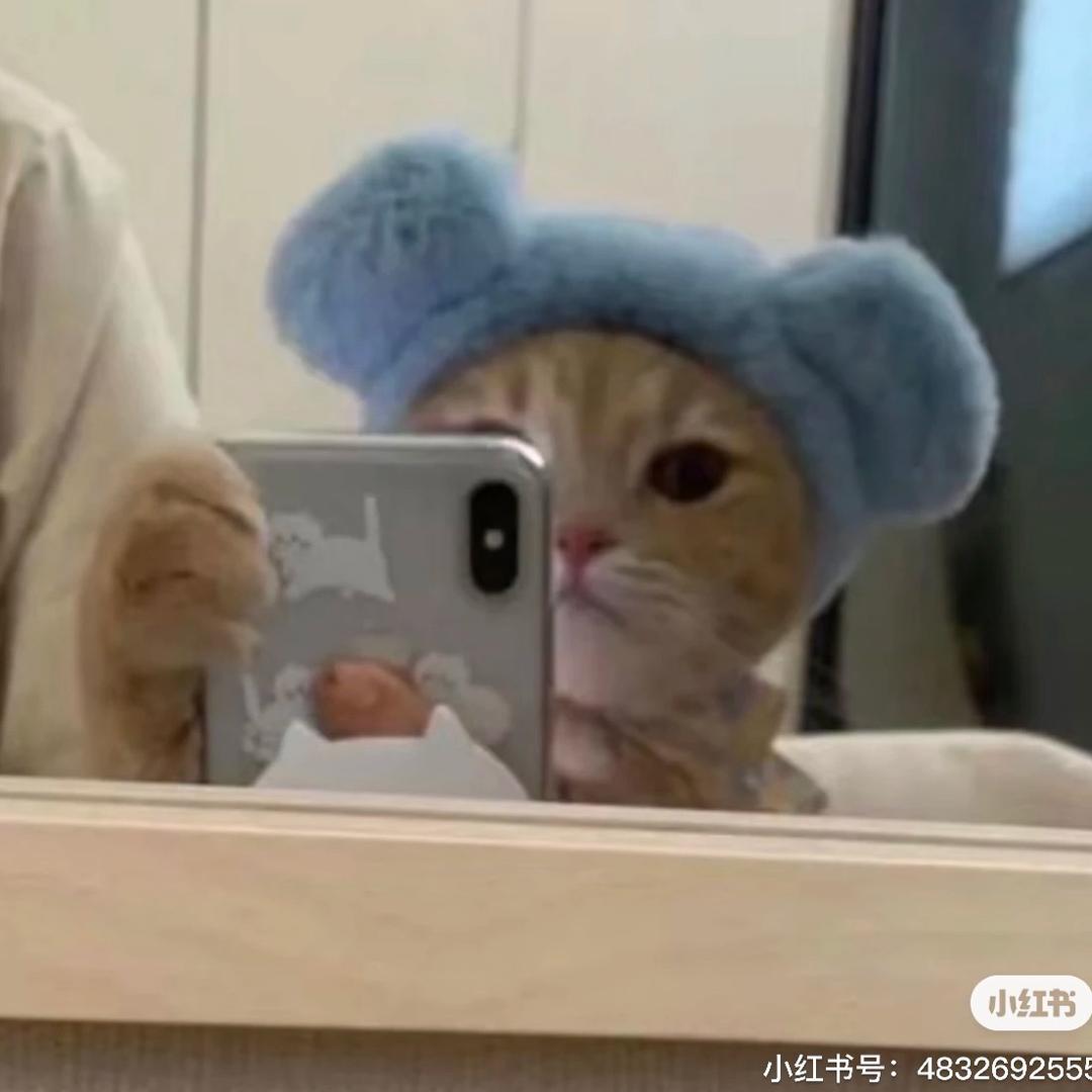 想吃粿条