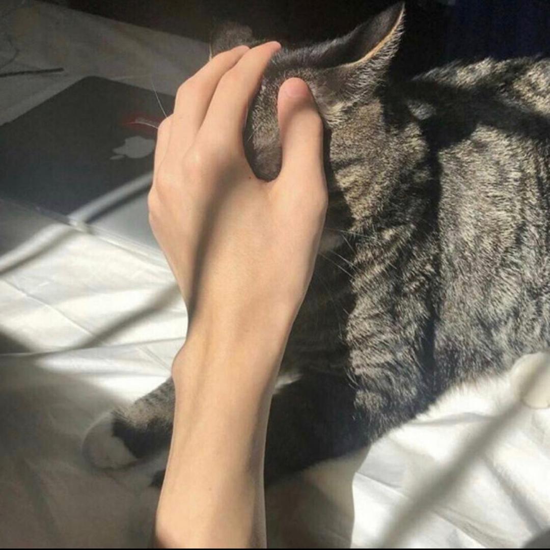 千与.
