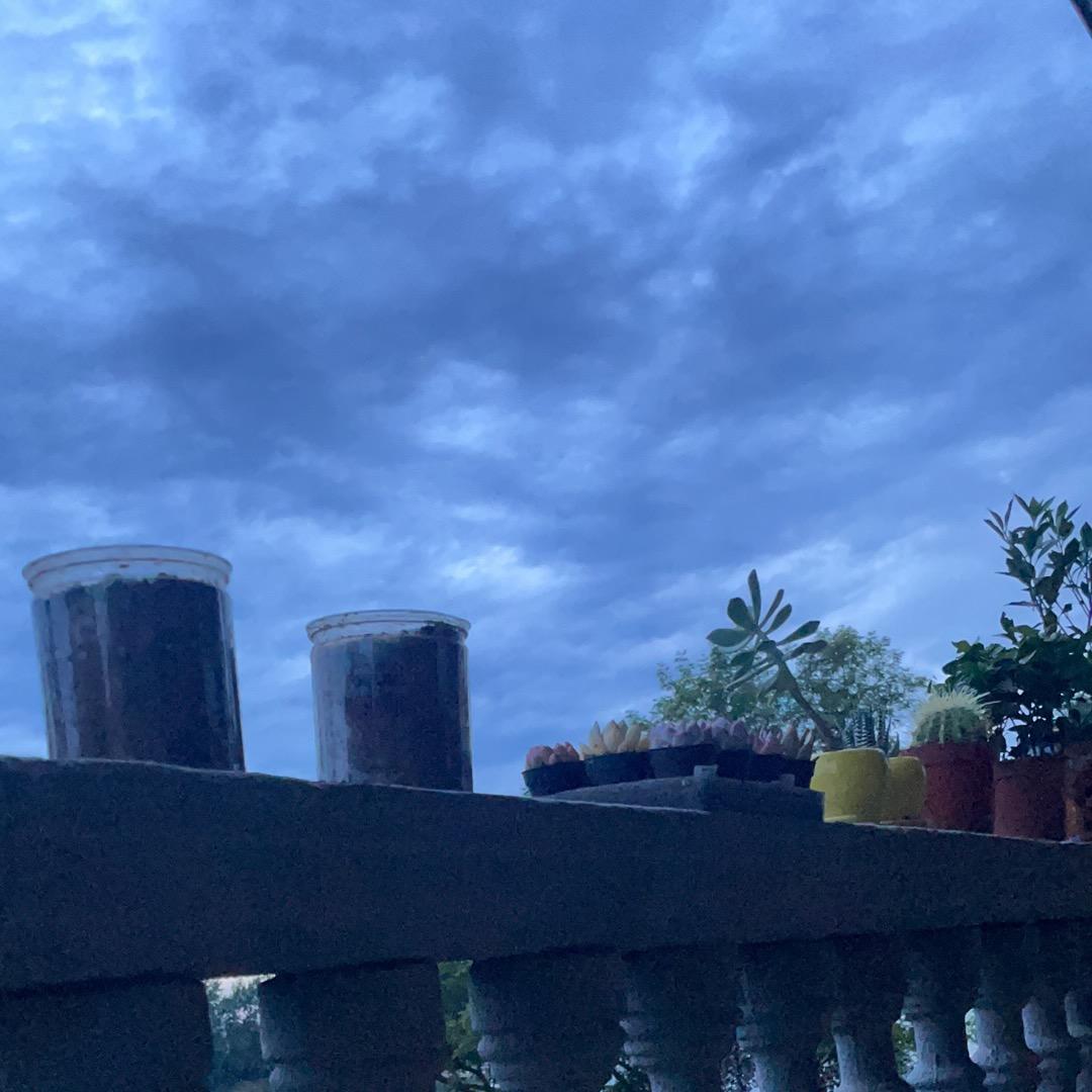 今天是好人，明天不一定