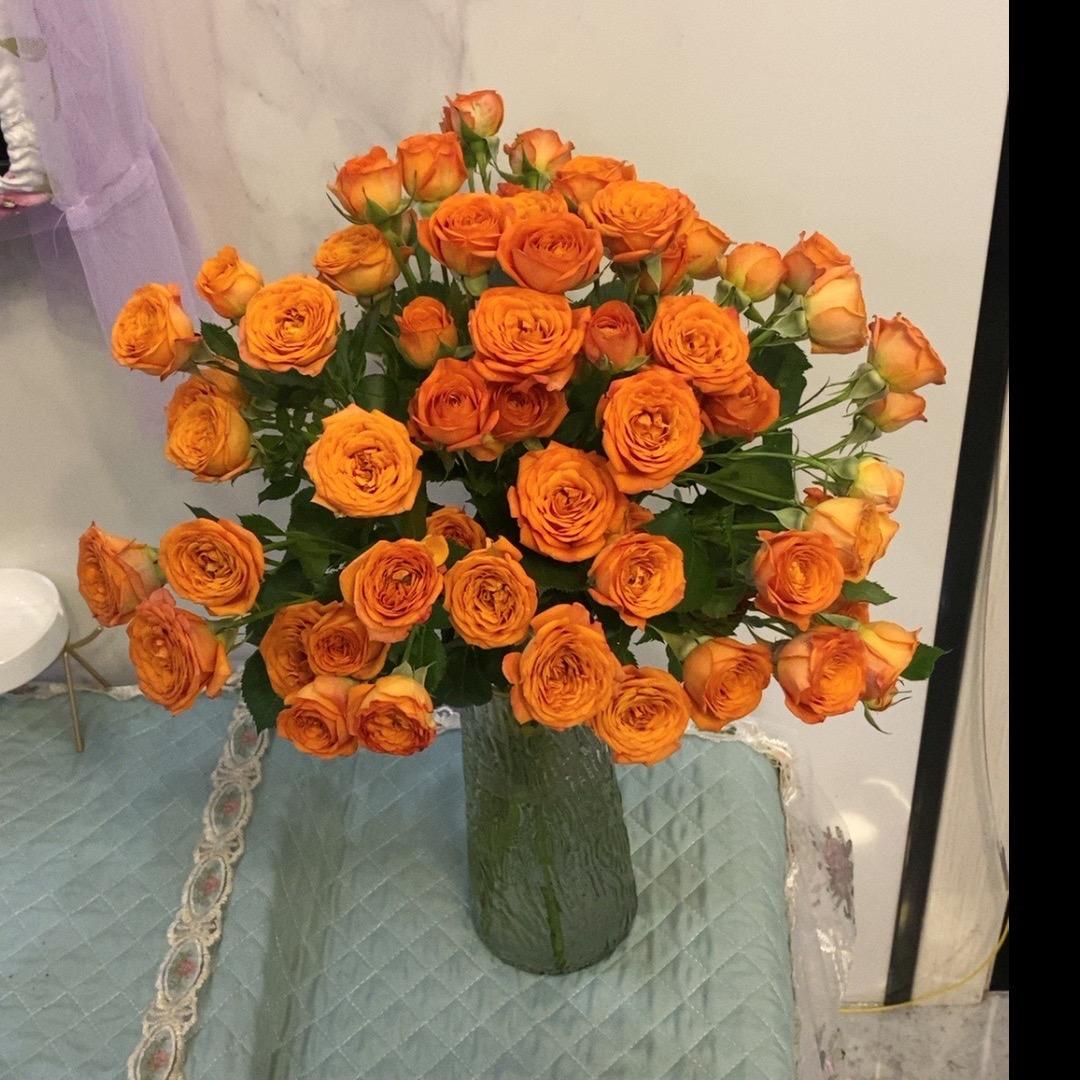🌈小芳🌺
