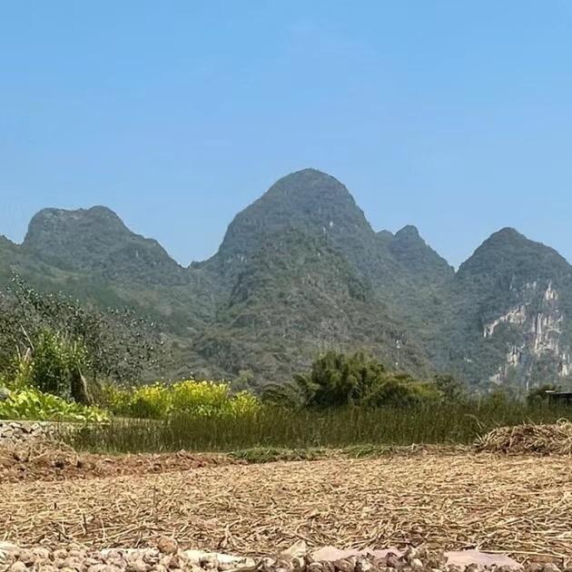 老高果蔬农产品