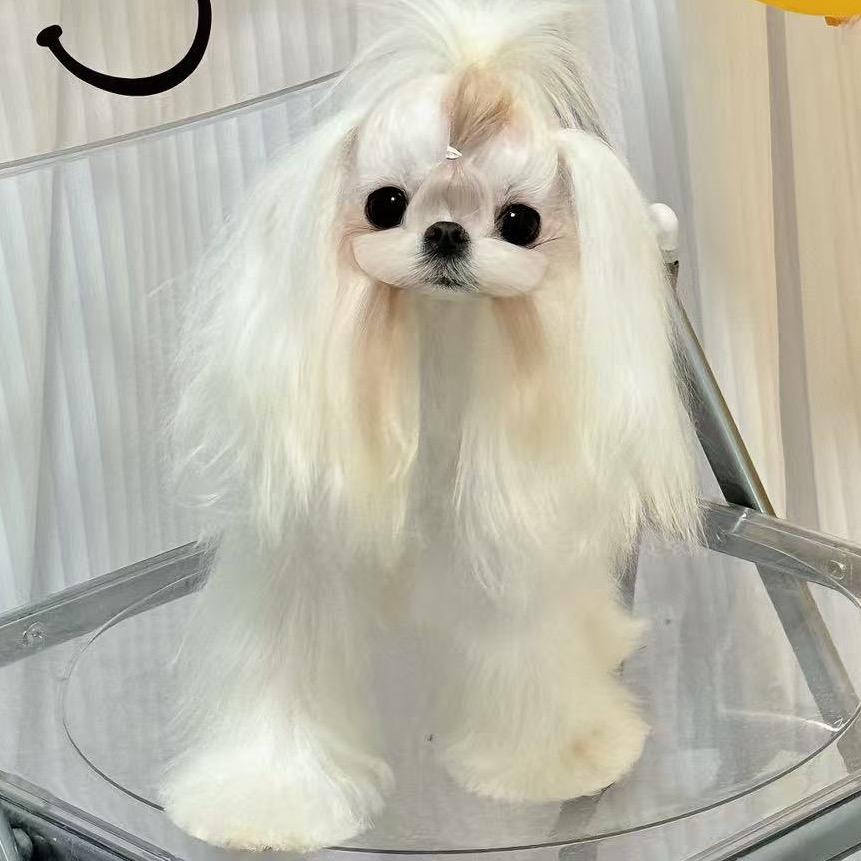 巨贵Tina