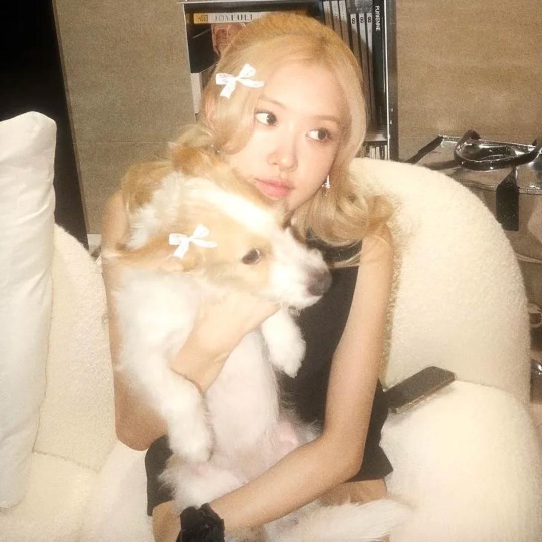 小羊🐑.