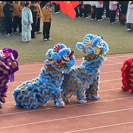多多指教.