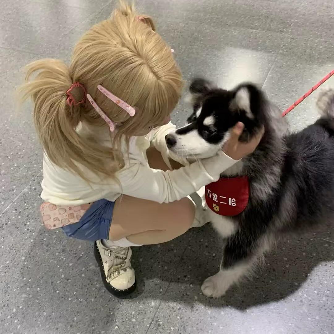 妥协、