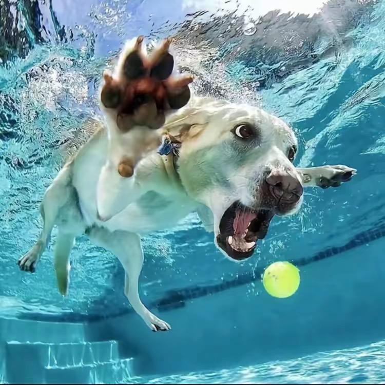 疯狂的辣椒面@抖音