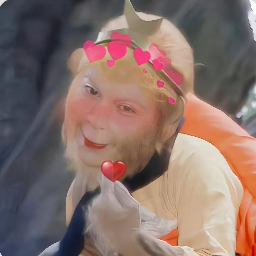 不发脾气只发财🦋