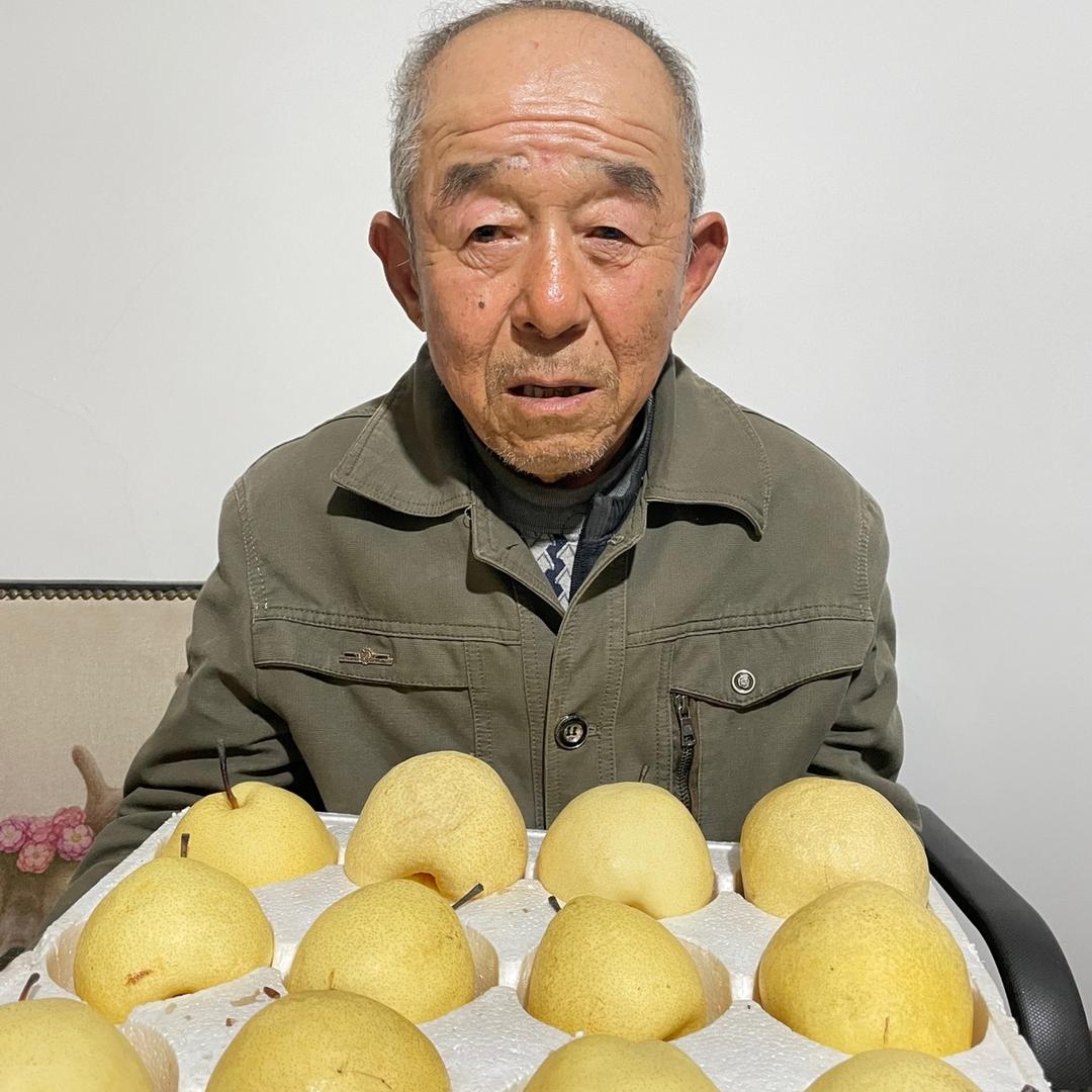 海大爷家的梨