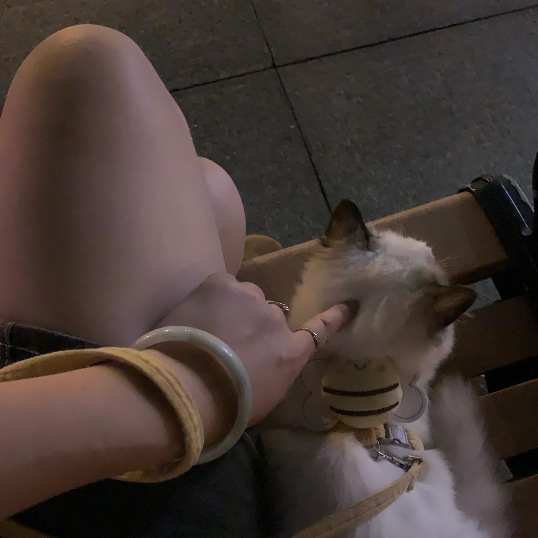 🌹🎁玉叶🌹💼