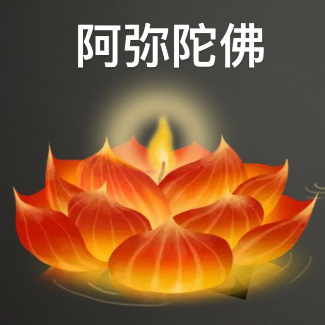 圣 娟🪷