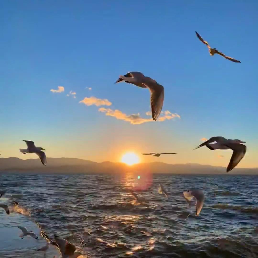 微藻生产源头基地（全国冷链直发）