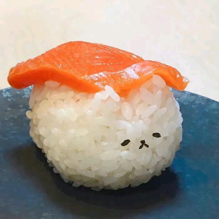 饭饭的历险记🍙